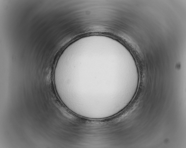 X0000097630873200803211807