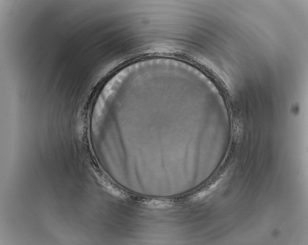 X0000097630874200803211807