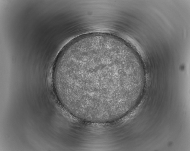 X0000097630875200803211807