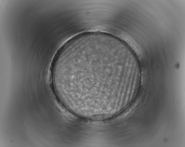 X0000097630876200803211807