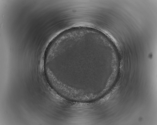 X0000097630877200803211807