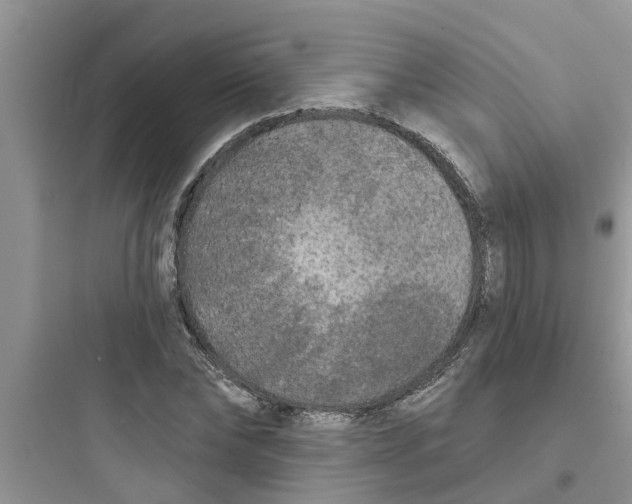 X0000097630878200803211807