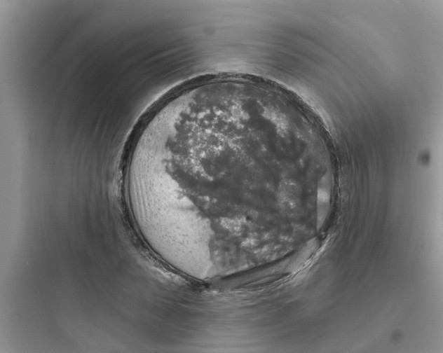 X0000097630879200803211807