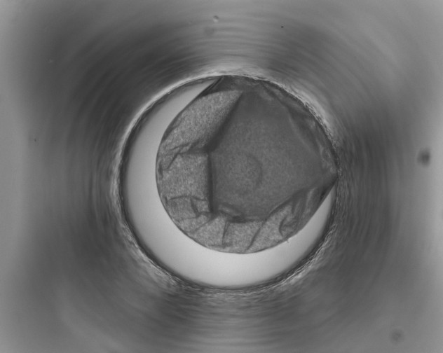 X0000097630880200803211807