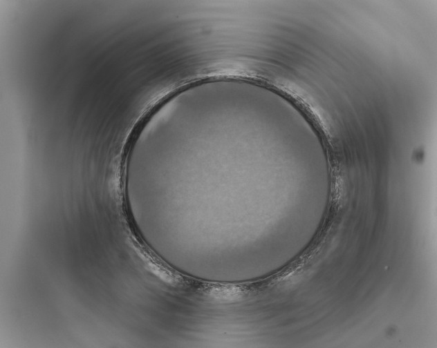 X0000097630882200803211807