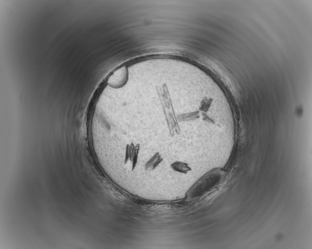 X0000097630883200803211807