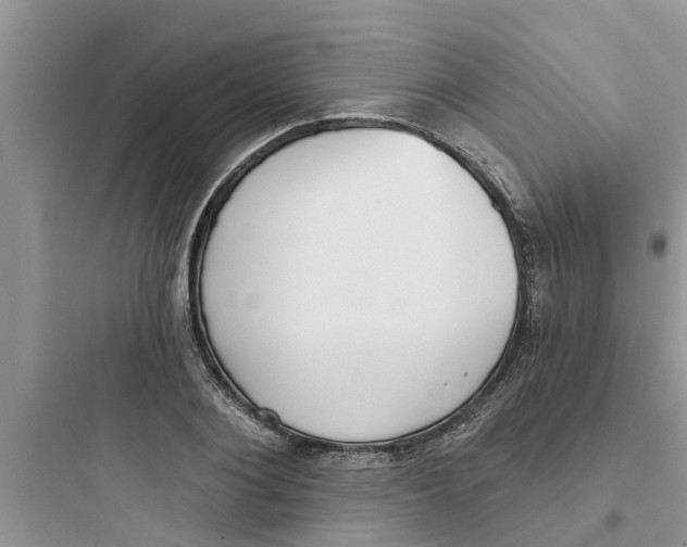 X0000097630884200803211807