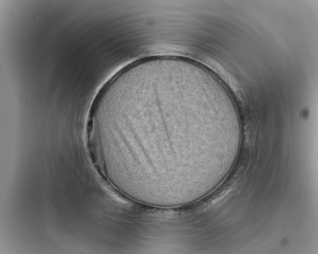 X0000097630885200803211807