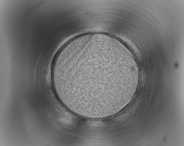 X0000097630886200803211807