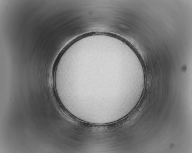 X0000097630887200803211807