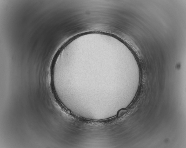 X0000097630888200803211807