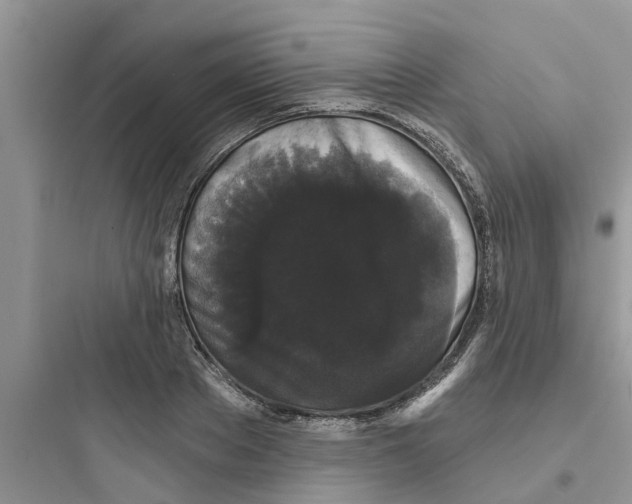 X0000097630889200803211807