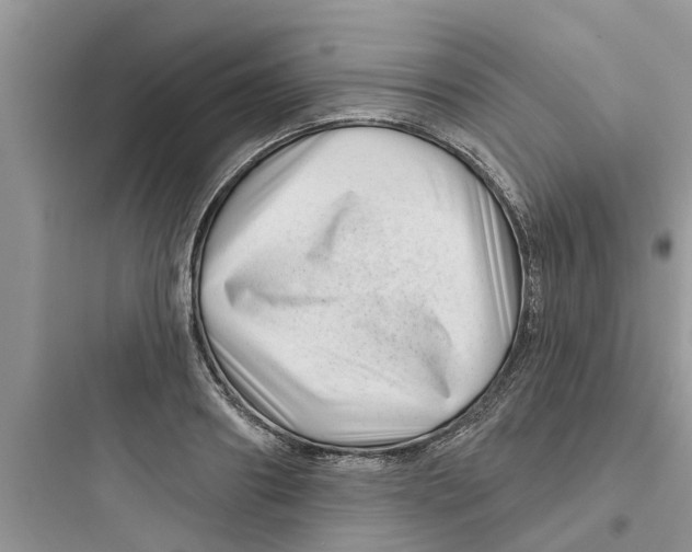 X0000097630890200803211807