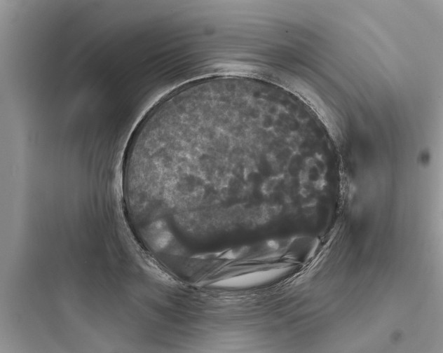 X0000097630891200803211807