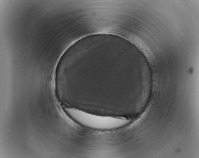 X0000097630892200803211807