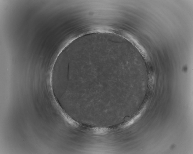 X0000097630893200803211807