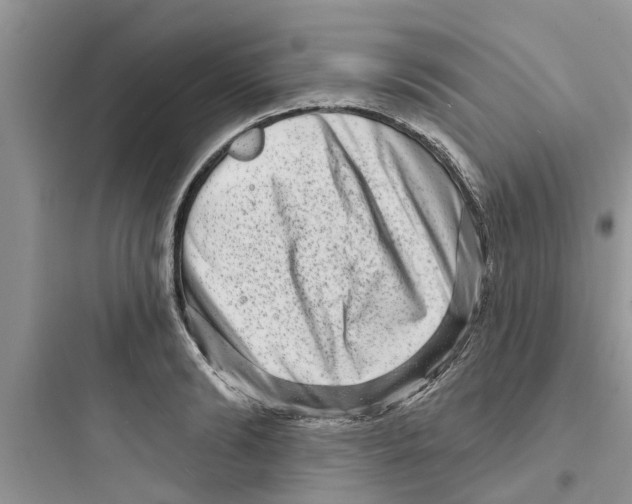 X0000097630894200803211807