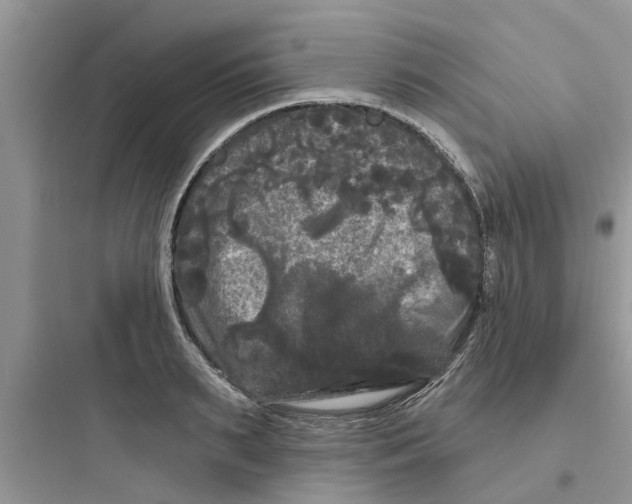 X0000097630895200803211807