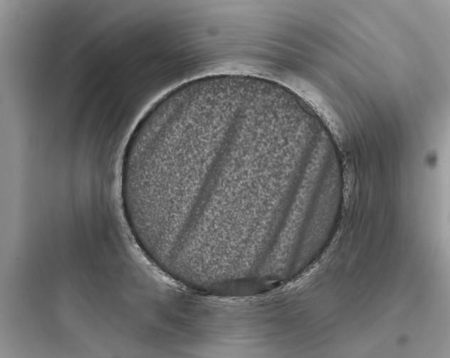 X0000097630896200803211807