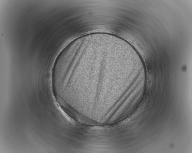 X0000097630898200803211807