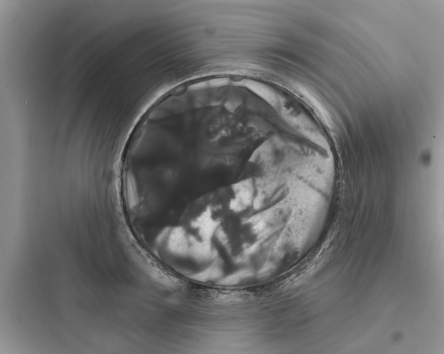 X0000097630899200803211807