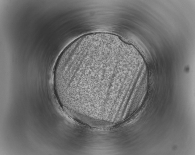 X0000097630900200803211807