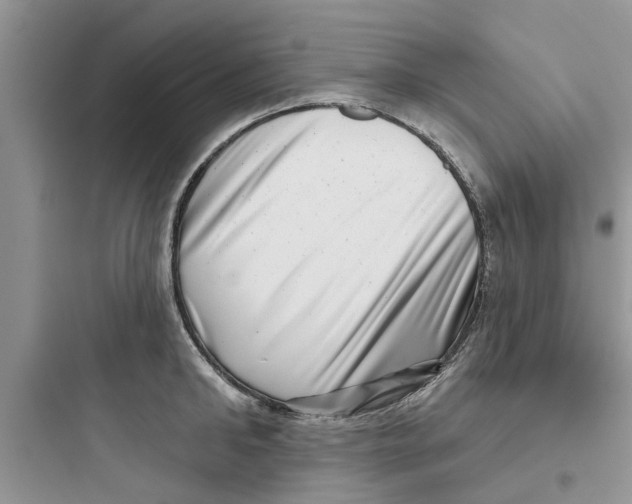 X0000097630902200803211806