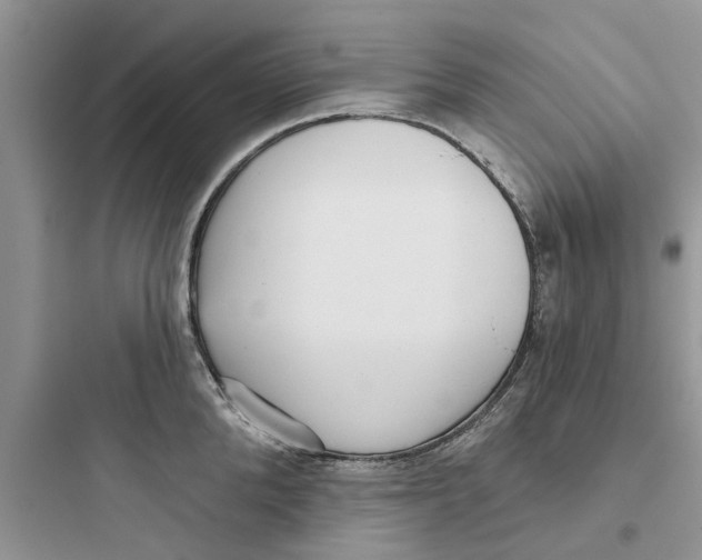 X0000097630904200803211806