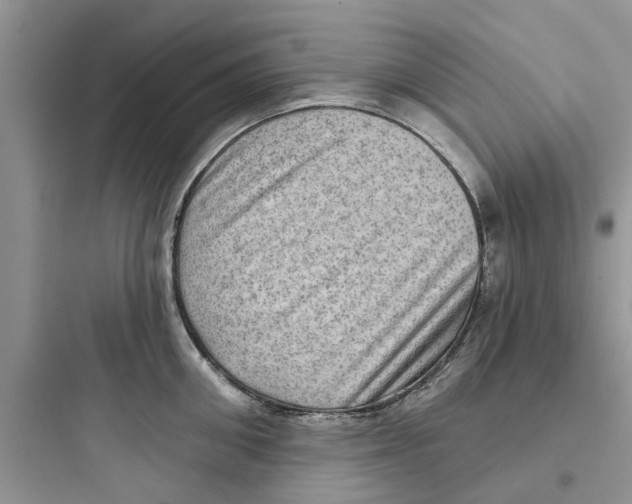 X0000097630906200803211806