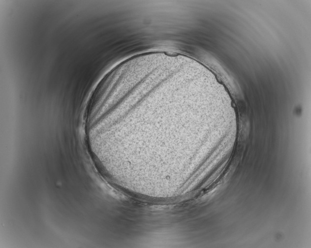 X0000097630908200803211806