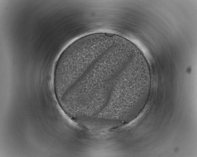 X0000097630910200803211806