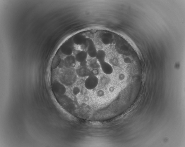 X0000097630911200803211806