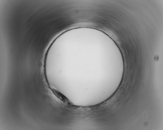 X0000097630912200803211806