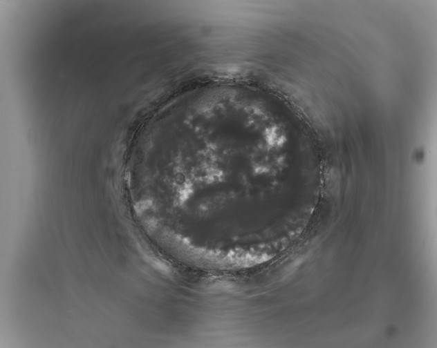 X0000097630913200803211806