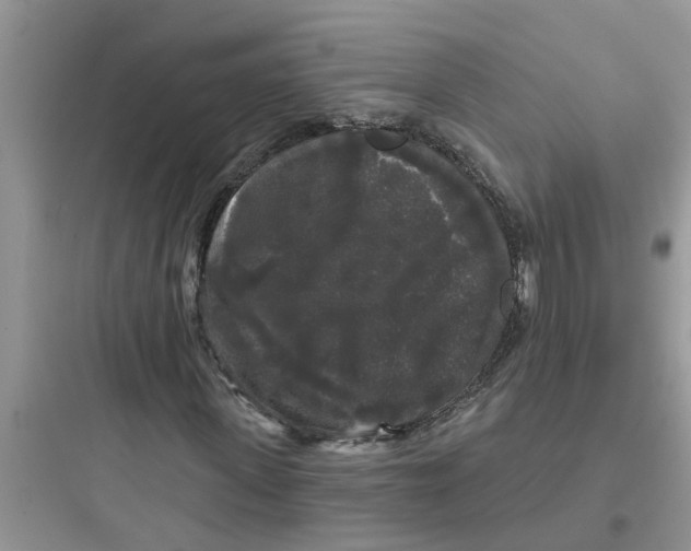 X0000097630915200803211806