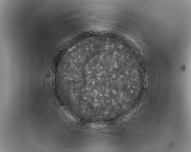 X0000097630917200803211806