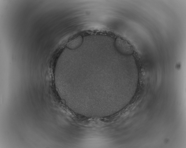 X0000097630918200803211806