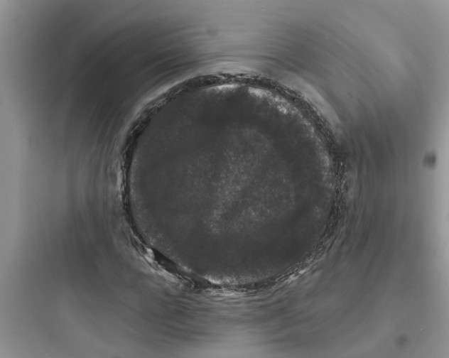 X0000097630920200803211806