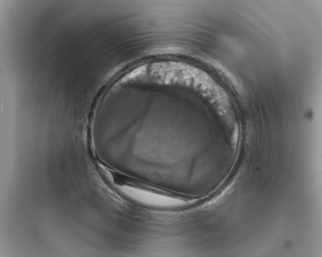 X0000097630921200803211806