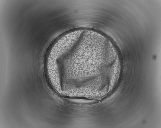 X0000097630922200803211806