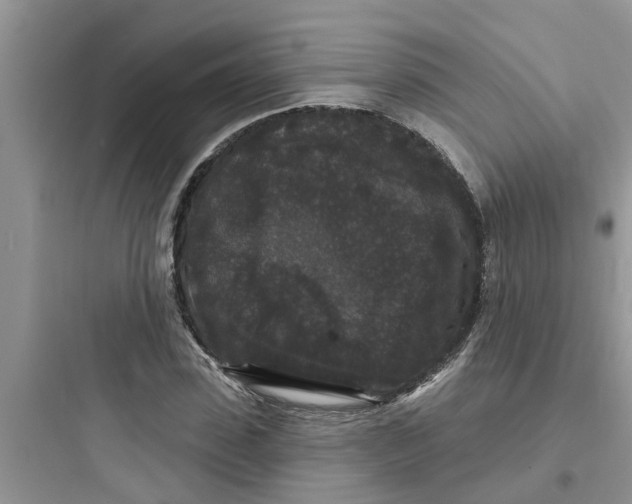 X0000097630923200803211806