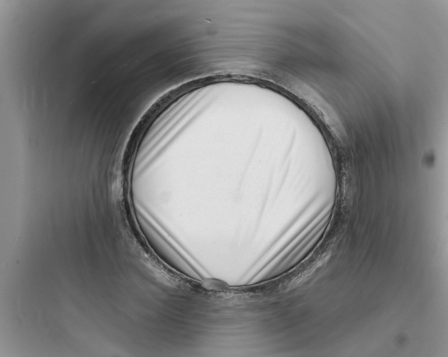 X0000097630924200803211806