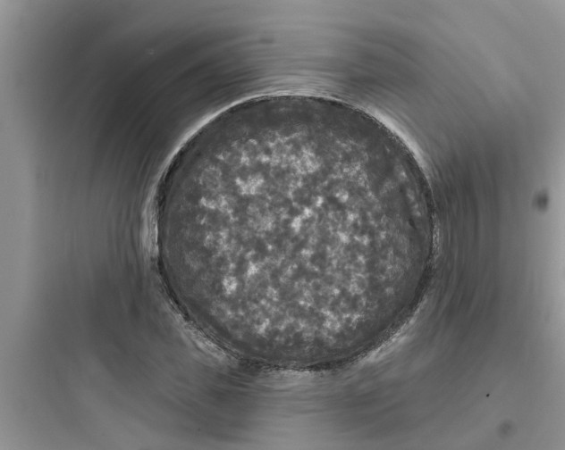 X0000097630925200803211806