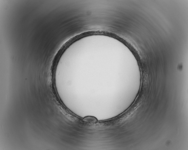 X0000097630927200803211806