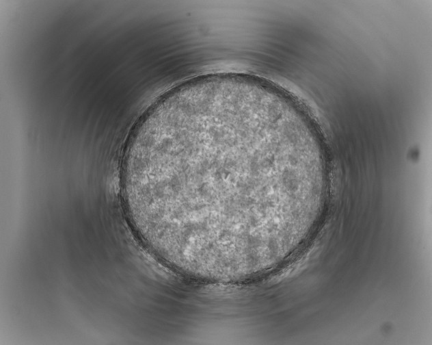 X0000097630929200803211806