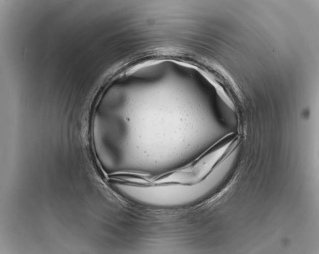 X0000097630930200803211806