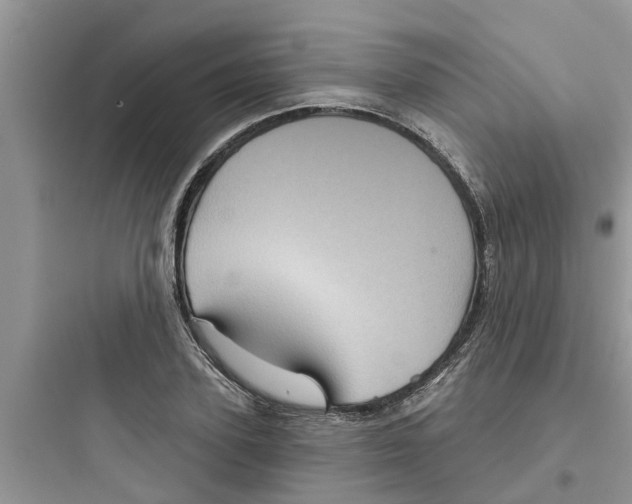 X0000097630931200803211806