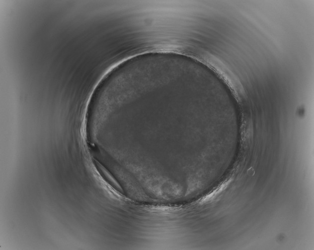 X0000097630932200803211806