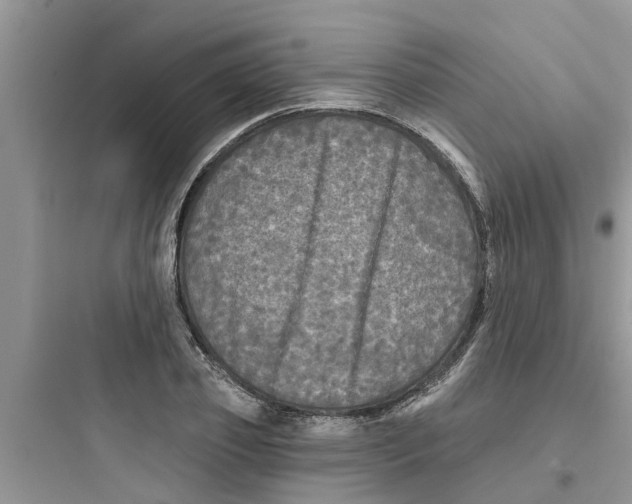 X0000097630933200803211806