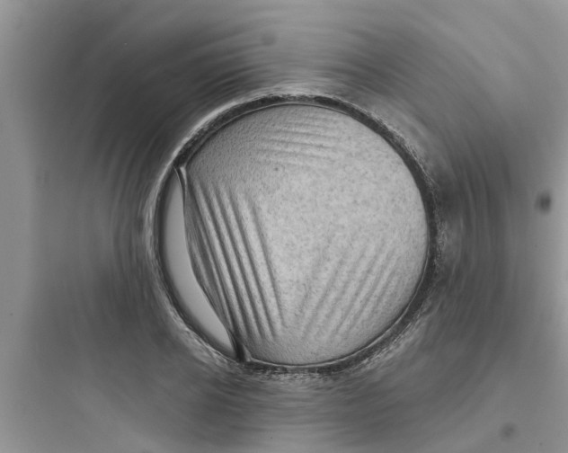 X0000097630934200803211806